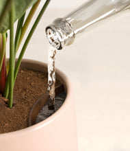 Load image into Gallery viewer, Gentle Pink stand:all
