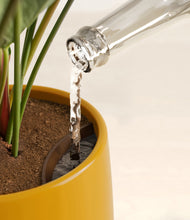 Load image into Gallery viewer, Mustard stand:all
