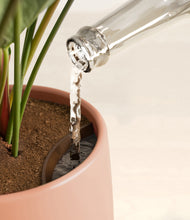 Load image into Gallery viewer, Calm Rose stand:all
