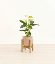 Load image into Gallery viewer, Glossy Pink stand:bamboo
