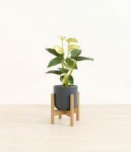 Load image into Gallery viewer, Iron Gray stand:bamboo
