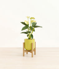 Load image into Gallery viewer, Key Lime Yellow stand:bamboo
