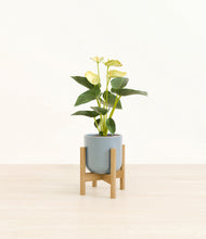 Load image into Gallery viewer, Misty Blue stand:bamboo

