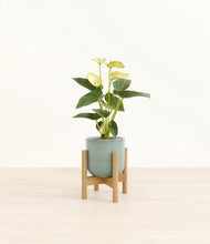 Load image into Gallery viewer, Reactive Aqua stand:bamboo

