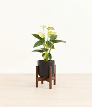 Load image into Gallery viewer, Stone Black stand:walnut
