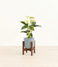 Load image into Gallery viewer, Misty Blue stand:walnut
