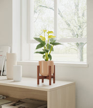 Load image into Gallery viewer, Glossy Pink stand:walnut
