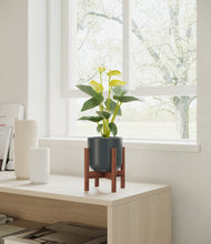 Load image into Gallery viewer, Iron Gray stand:walnut
