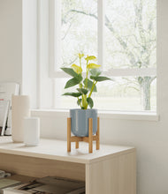 Load image into Gallery viewer, Misty Blue stand:bamboo
