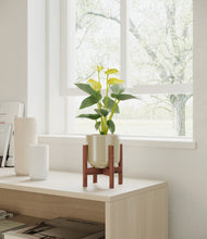 Load image into Gallery viewer, Sage Green stand:walnut
