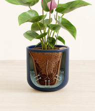 Load image into Gallery viewer, Twilight Blue stand:all
