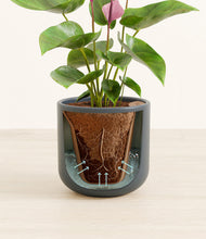 Load image into Gallery viewer, Iron Gray stand:all
