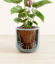 Load image into Gallery viewer, Misty Blue stand:all
