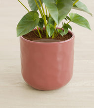 Load image into Gallery viewer, Hammered Rose Pink stand:all
