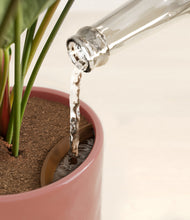 Load image into Gallery viewer, Hammered Rose Pink stand:all
