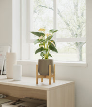 Load image into Gallery viewer, Olive stand:bamboo
