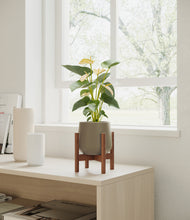 Load image into Gallery viewer, Olive stand:walnut
