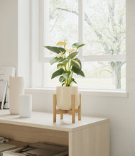 Load image into Gallery viewer, Almond Green stand:bamboo
