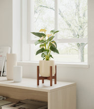 Load image into Gallery viewer, Almond Green stand:walnut
