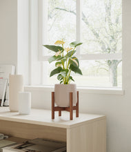 Load image into Gallery viewer, Eternal Gray stand:walnut
