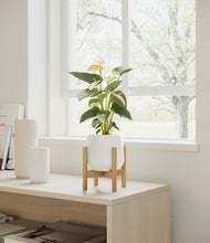 Load image into Gallery viewer, White stand:bamboo
