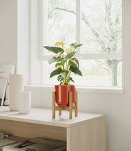 Load image into Gallery viewer, Glossy Red stand:bamboo
