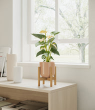 Load image into Gallery viewer, Glossy Pink stand:bamboo
