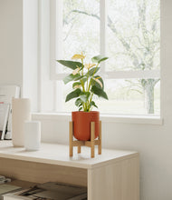 Load image into Gallery viewer, Earth Red stand:bamboo
