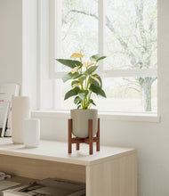 Load image into Gallery viewer, Sage Green stand:walnut
