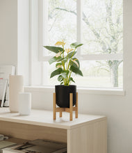 Load image into Gallery viewer, Stone Black stand:bamboo
