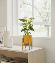 Load image into Gallery viewer, Sunset Orange stand:bamboo
