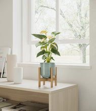 Load image into Gallery viewer, Reactive Aqua stand:bamboo
