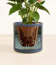 Load image into Gallery viewer, Deep Navy stand:all
