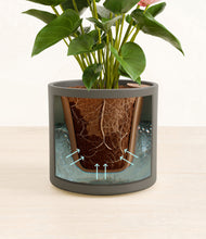 Load image into Gallery viewer, Dark Olive stand:all
