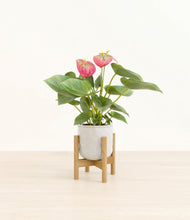 Load image into Gallery viewer, Hammered Ivory stand:bamboo
