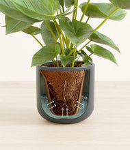 Load image into Gallery viewer, Iron Gray stand:all
