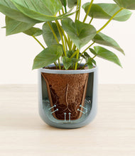 Load image into Gallery viewer, Misty Blue stand:all
