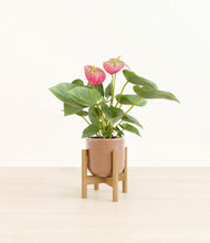 Load image into Gallery viewer, Hammered Peach Pink stand:bamboo
