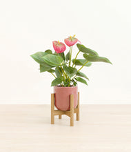 Load image into Gallery viewer, Hammered Rose Pink stand:bamboo

