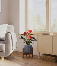 Load image into Gallery viewer, Deep Navy stand:walnut
