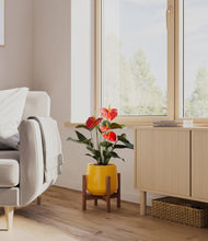 Load image into Gallery viewer, Mustard stand:walnut
