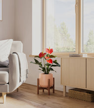 Load image into Gallery viewer, Calm Rose stand:walnut
