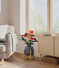 Load image into Gallery viewer, Deep Navy stand:bamboo

