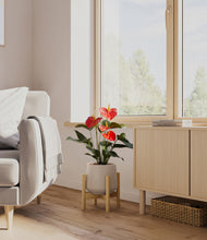 Load image into Gallery viewer, Eternal Gray stand:bamboo
