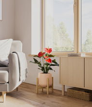 Load image into Gallery viewer, Gentle Pink stand:bamboo
