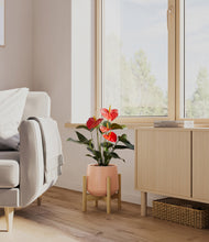 Load image into Gallery viewer, Calm Rose stand:bamboo
