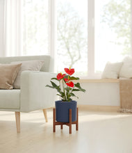 Load image into Gallery viewer, Deep Navy stand:walnut
