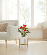 Load image into Gallery viewer, White stand:bamboo
