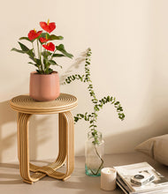 Load image into Gallery viewer, Calm Rose
