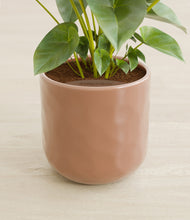 Load image into Gallery viewer, Hammered Peach Pink stand:all
